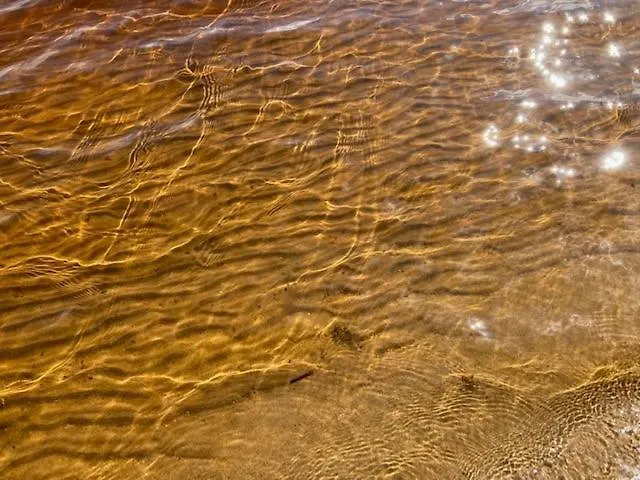 Lomahuvila Kultahiekka Golden